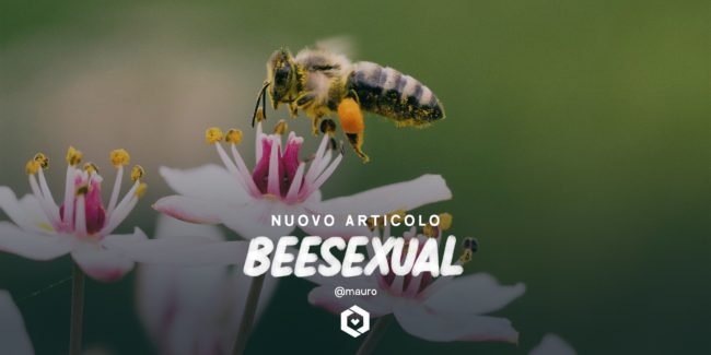 beesexual_web